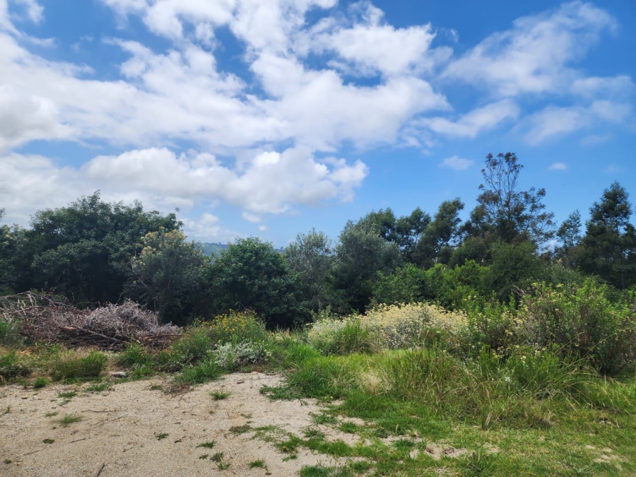 Commercial Property for Sale in Wilderness Heights Western Cape